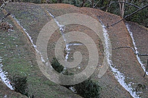 Snow fall at Kausani, India photo